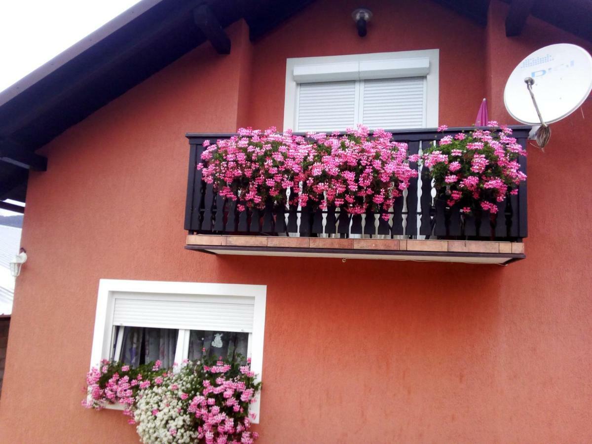 Nika Apartment Ogulin Exterior photo
