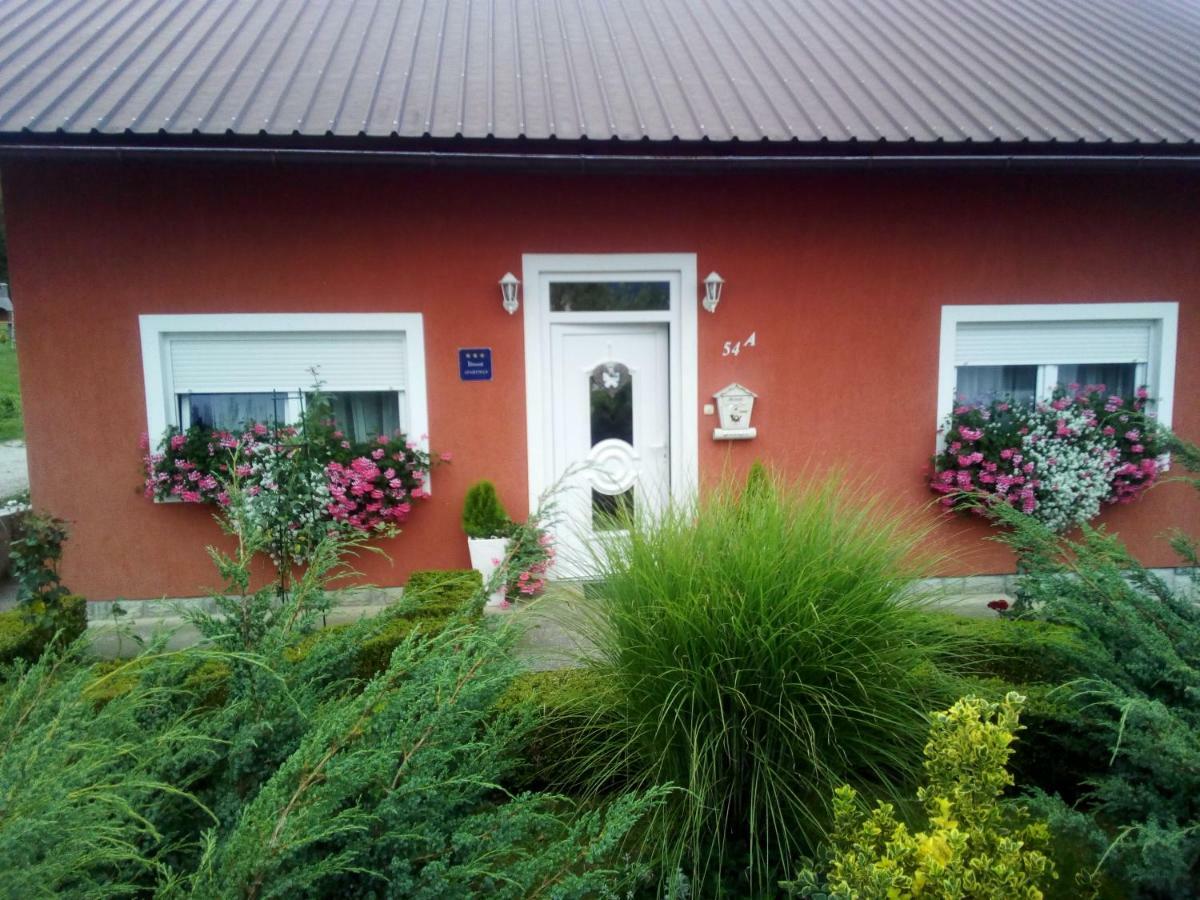 Nika Apartment Ogulin Exterior photo
